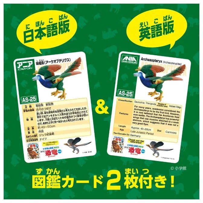  Two ANIA Archaeopteryx toy cards, Japanese and English versions, showing dinosaur figure and information.