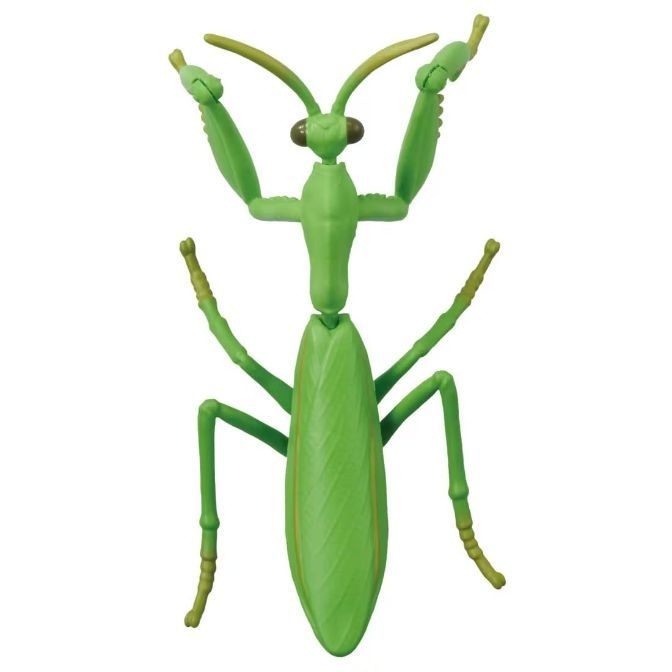  Green praying mantis toy with raised forelimbs and visible antennae.