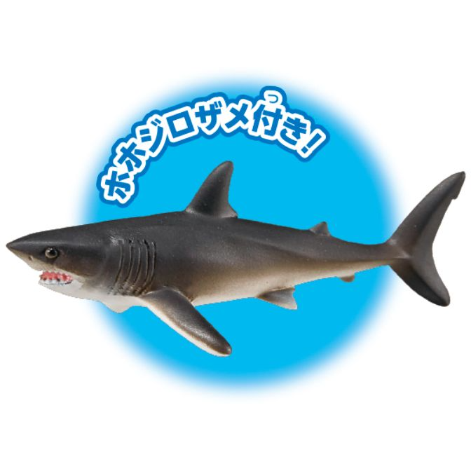  Grey shark toy with visible teeth and fins, surrounded by a blue circle with Japanese text.