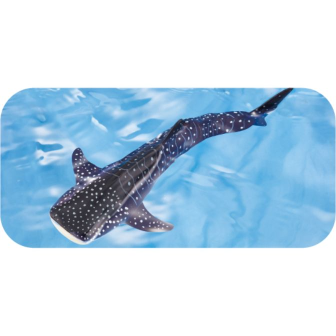  Toy whale shark with white spots swimming in blue water.