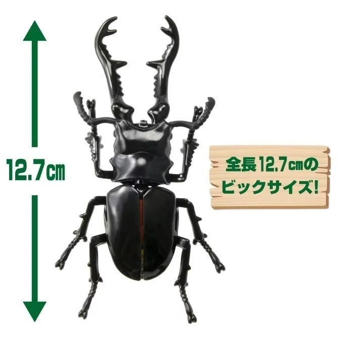  Stag beetle toy with 12.7cm height marked by a green arrow and text.