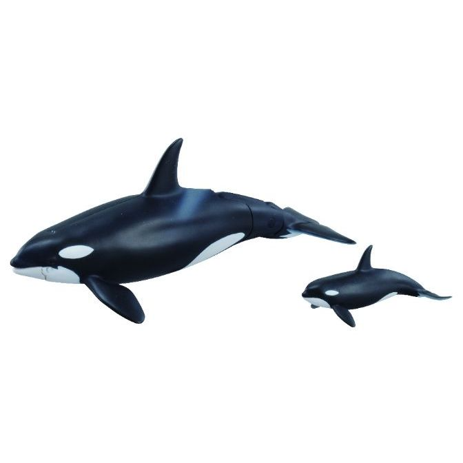 Two toy orcas, one larger and one smaller, both black and white, swimming.