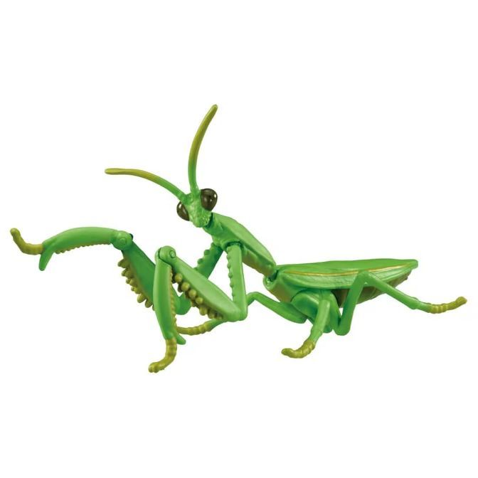  Green toy praying mantis with large eyes and grasping forelegs.