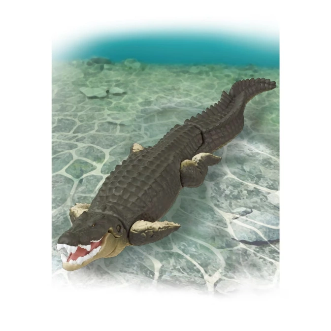  Toy crocodile with open mouth swimming in water.