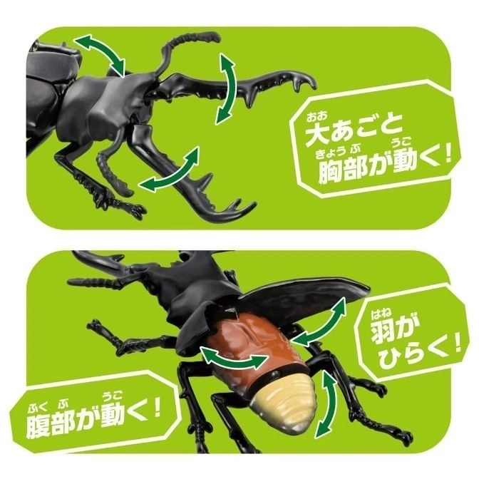  Toy stag beetle with moving mandibles, thorax, abdomen, and wings, demonstrating articulation.