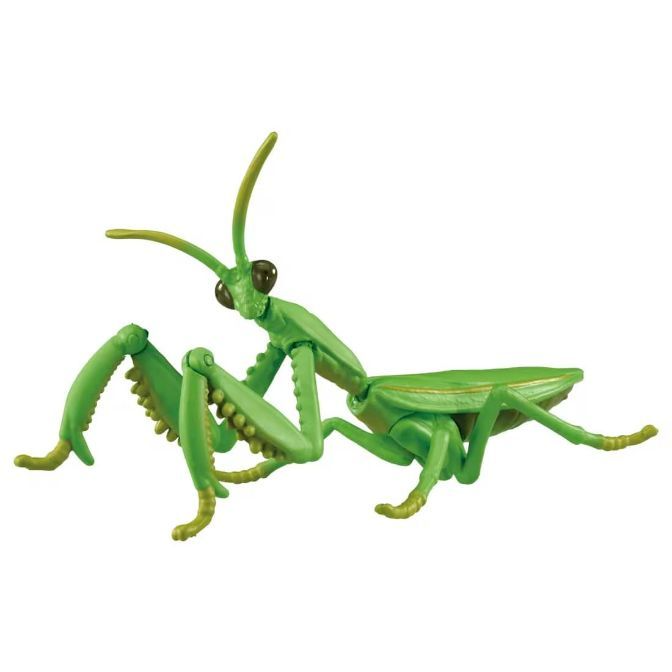  Green toy praying mantis with detailed legs and antennae.