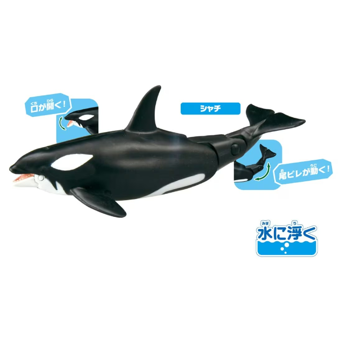  Black and white orca toy with opening mouth and moving tail fin. Floats in water.