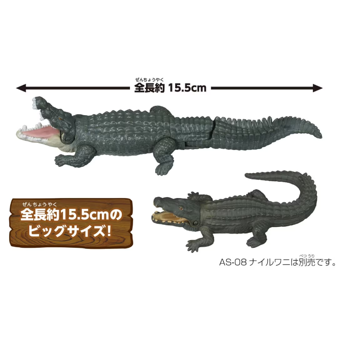  Two toy crocodiles, one with open mouth, next to a sign saying "15.5cm Big Size!"