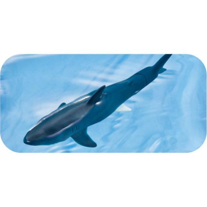  Toy shark swimming in blue water. Dark blue body with white fin.